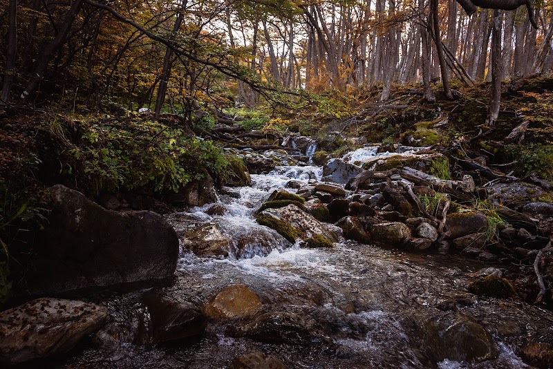 RB Photography - billede 1