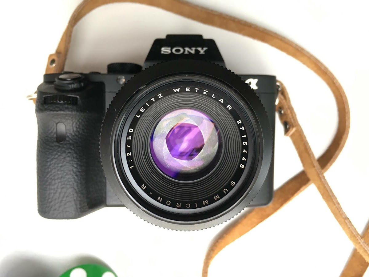 Peter Bjerg Fotografi