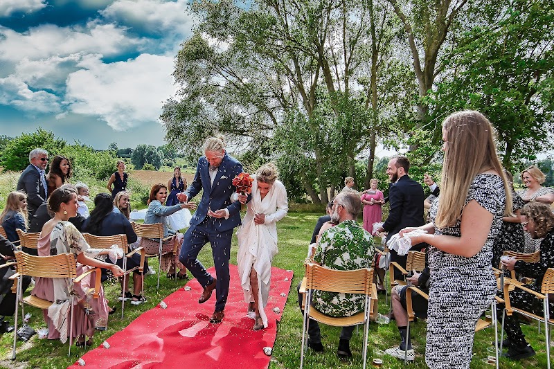 Life Photography - billede 4