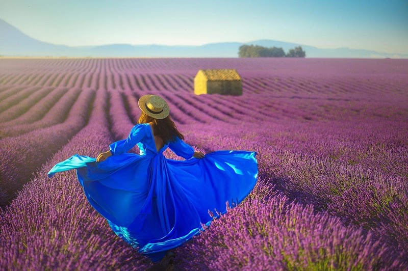 Nataly Dauer photography - billede 1