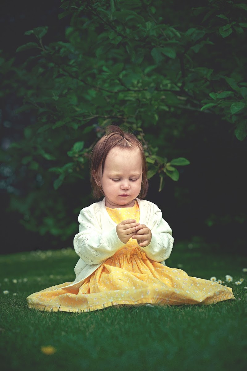 Weigang fotografi - billede 1